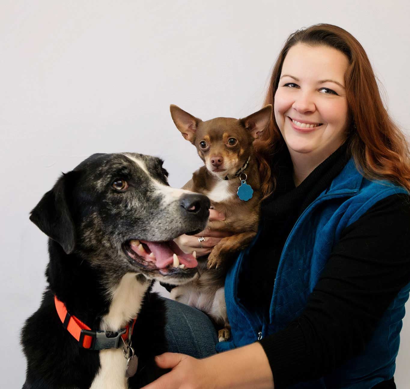 About True Care True Care Veterinary Hospital